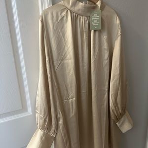 Dressy Silk/Satin Shirt Dress